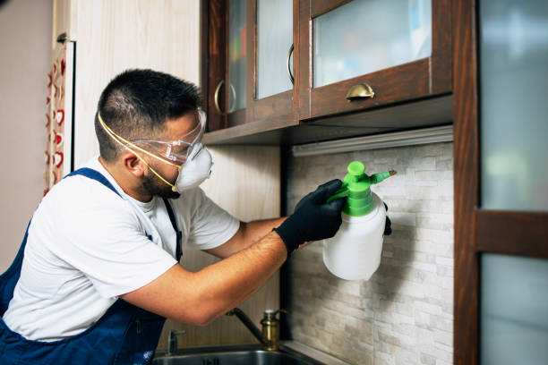 Best Residential Pest Control  in Clarkston, GA