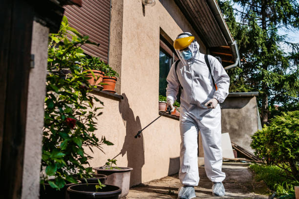 Best Mosquito Control Services  in Clarkston, GA