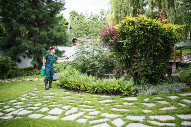 Wasp Removal Services in Clarkston, GA