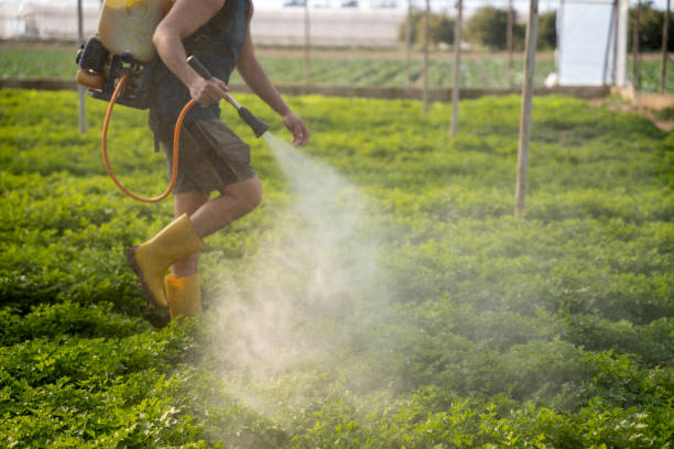 Pest Control Cost in Clarkston, GA