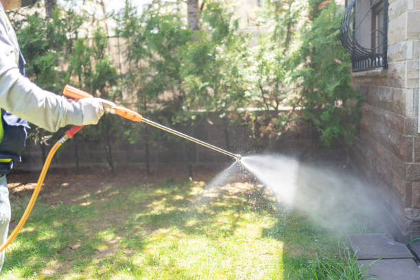 Wasp Removal Services in Clarkston, GA