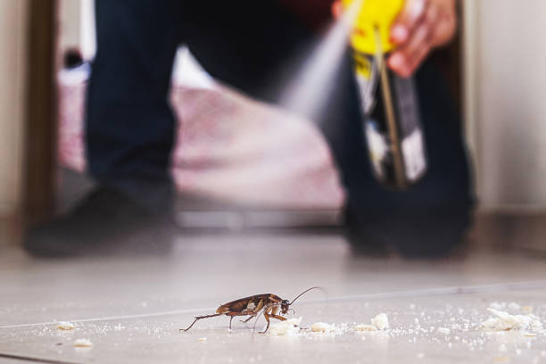 Reliable Clarkston, GA Pest Control Solutions