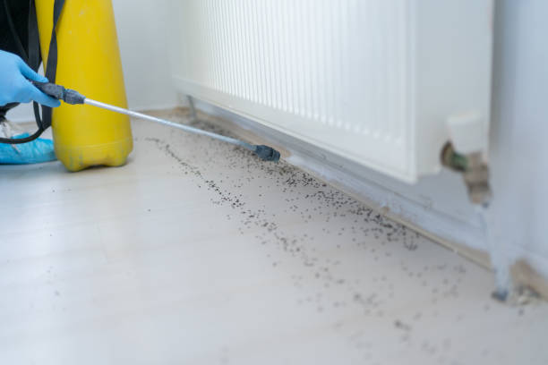  Clarkston, GA Pest Control Pros