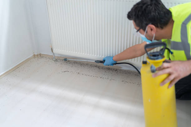 Best Flea Control Services  in Clarkston, GA