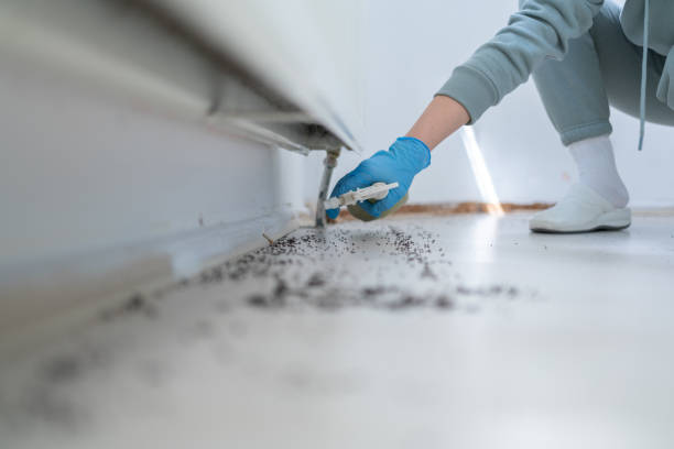 Best Cockroach Control Services  in Clarkston, GA